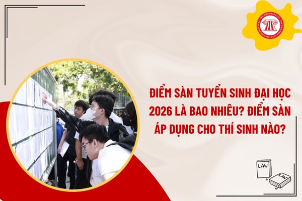 Pháp luật