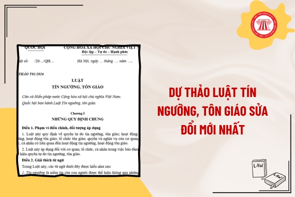 Pháp luật