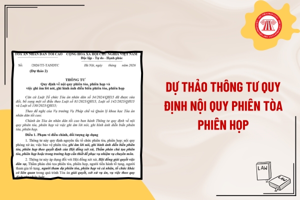 Pháp luật