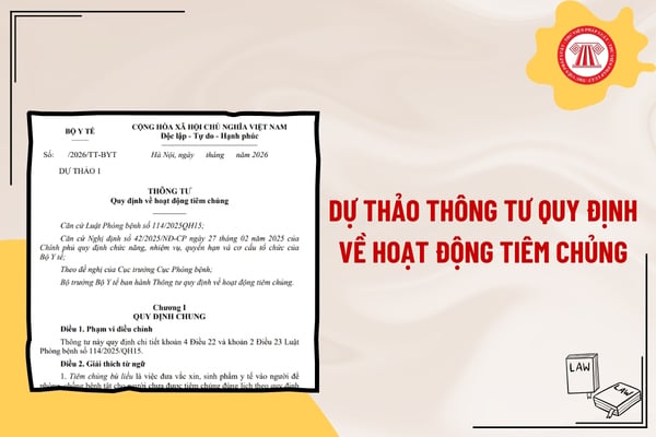 Pháp luật