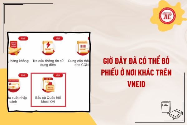 Pháp luật