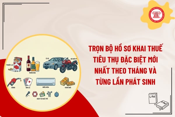 Pháp luật