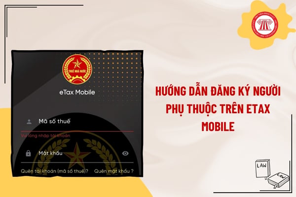 Pháp luật