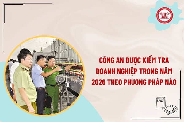 Pháp luật