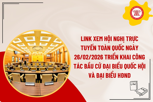 Pháp luật