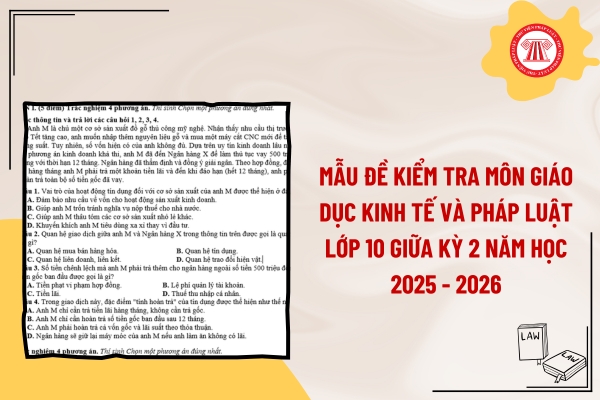 Pháp luật