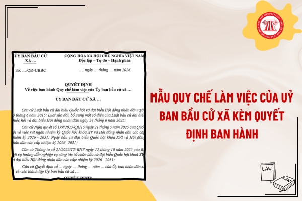 Pháp luật