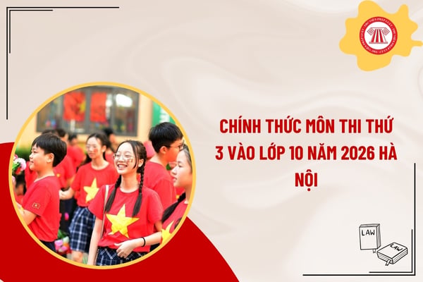 Pháp luật