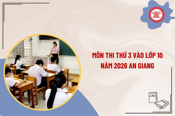 Pháp luật