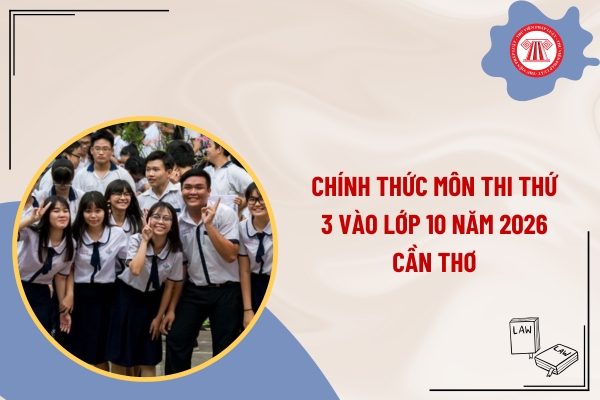 Pháp luật