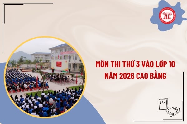 Pháp luật