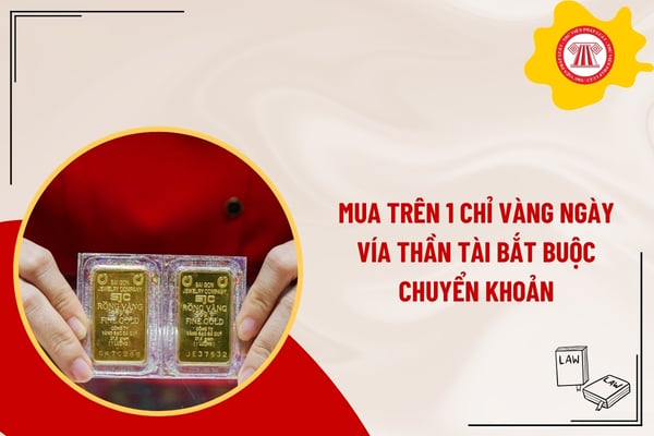Pháp luật