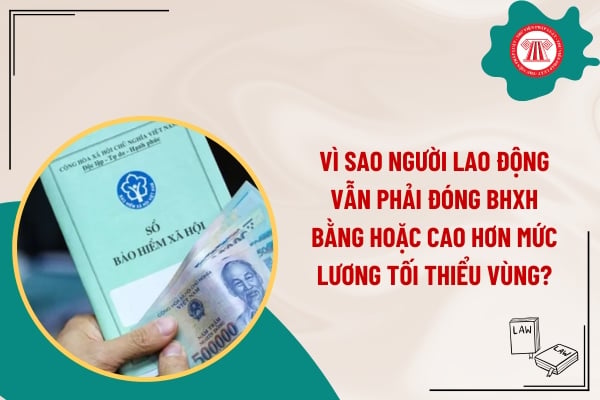 Pháp luật