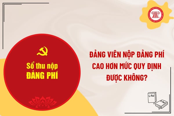 Pháp luật