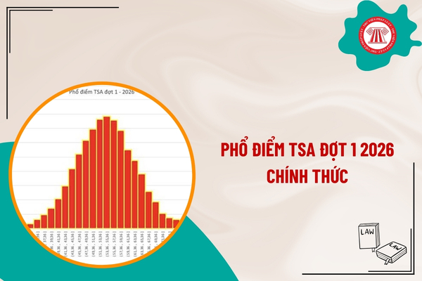 Phổ điểm TSA đợt 1 2026 chính thức ra sao? Lịch thi TSA 2026 đợt 2 đợt 3 chi tiết như thế nào?