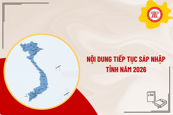 Pháp luật
