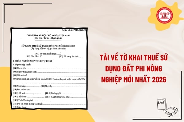 Pháp luật