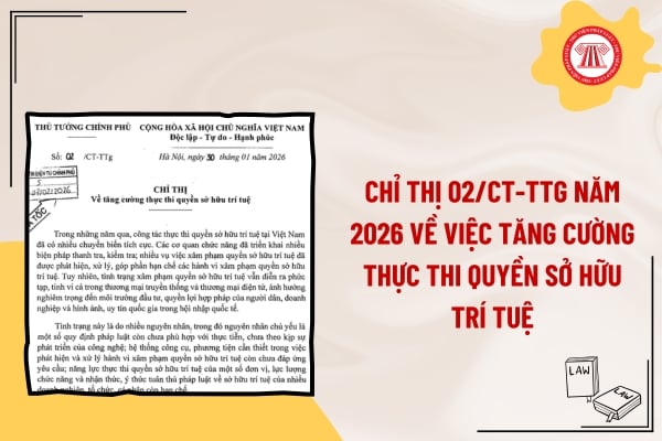 Pháp luật