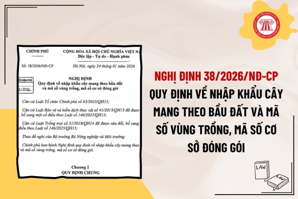 Pháp luật