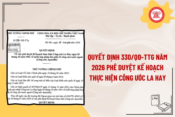 Pháp luật