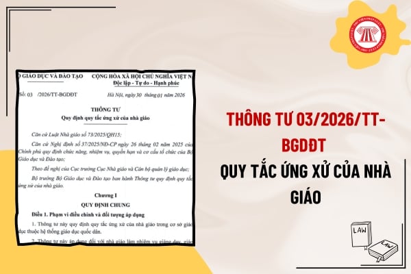 Pháp luật