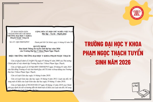 Pháp luật