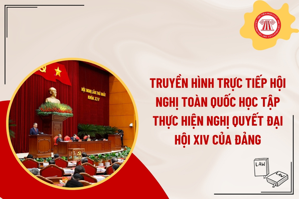 Pháp luật