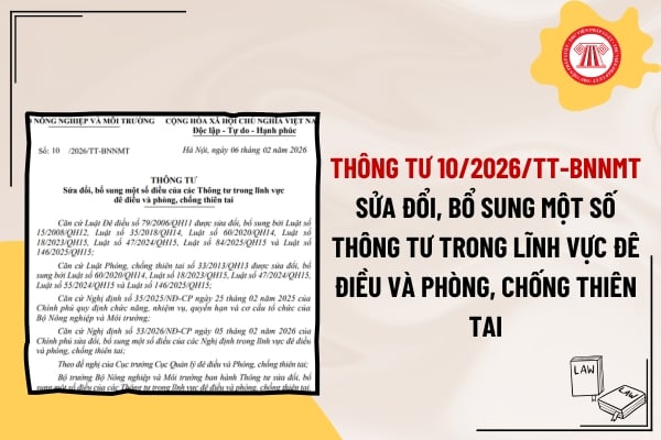 Pháp luật