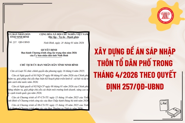 Pháp luật