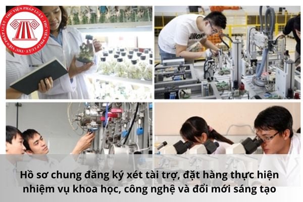 Pháp luật