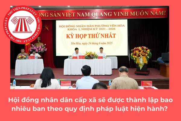 Pháp luật