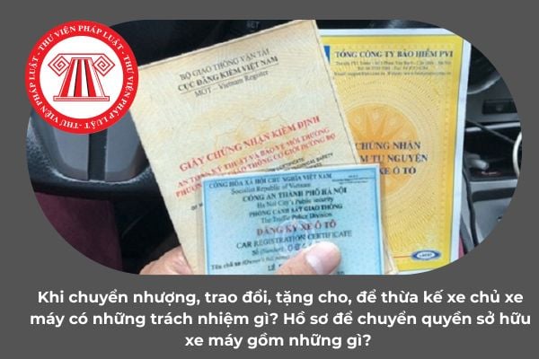 Pháp luật