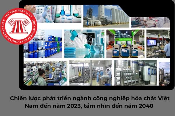 Pháp luật