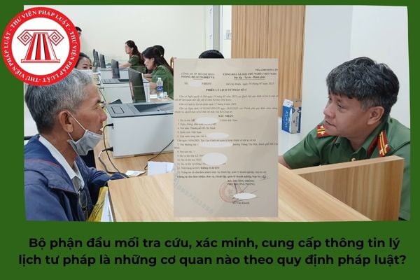 Pháp luật