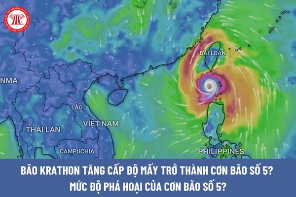 Bão số 5 là gì? Bão Krathon tăng cấp độ bao nhiêu trở thành cơn bão số 5?