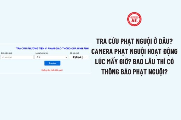 Tra cứu phạt nguội ở đâu? Camera phạt nguội hoạt động lúc mấy giờ? Bao lâu thì có thông báo phạt nguội?