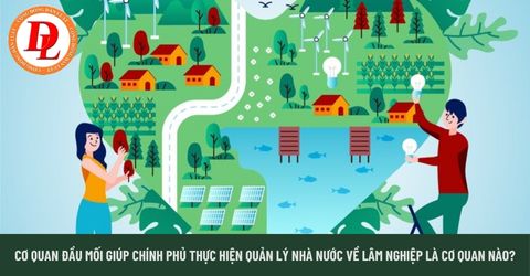 Cơ quan đầu mối giúp Chính phủ thực hiện quản lý nhà nước về lâm nghiệp là cơ quan nào?