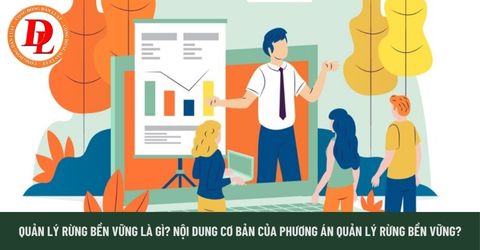 Quản lý rừng bền vững là gì?