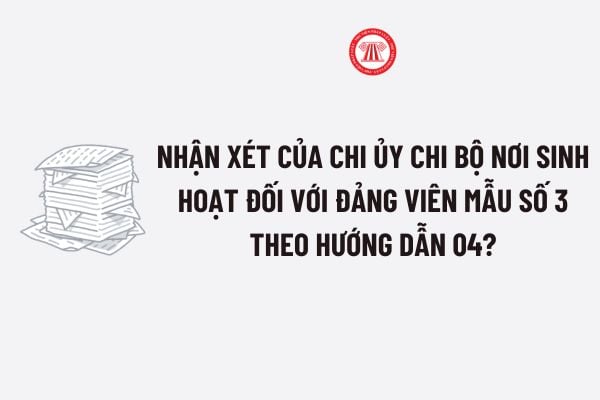 Nhận xét của chi ủy chi bộ nơi sinh hoạt đối với đảng viên Mẫu số 3 theo Hướng dẫn 04? Tải về Mẫu Nhận xét của chi ủy chi bộ nơi sinh hoạt?