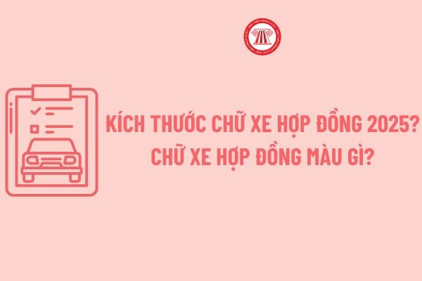 Kích thước chữ xe hợp đồng 2025? Chữ xe hợp đồng màu gì? Phù hiệu xe hợp đồng hết hạn phạt bao nhiêu theo Nghị định 168?