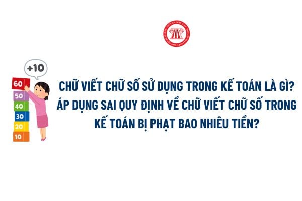 Pháp luật