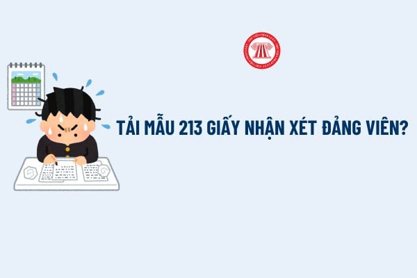 Mẫu 213 giấy nhận xét đảng viên có dạng gì? Ký hiệu Mẫu? Chi tiết đối tượng sử dụng Mẫu 213 giấy nhận xét đảng viên?