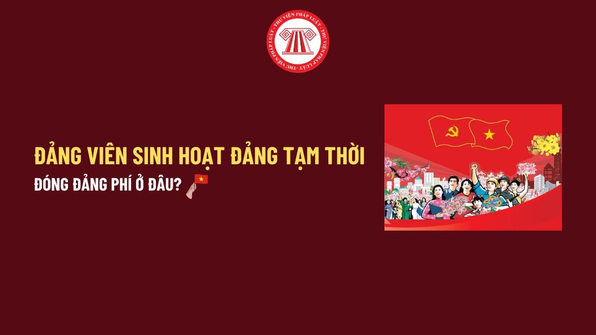 Pháp luật