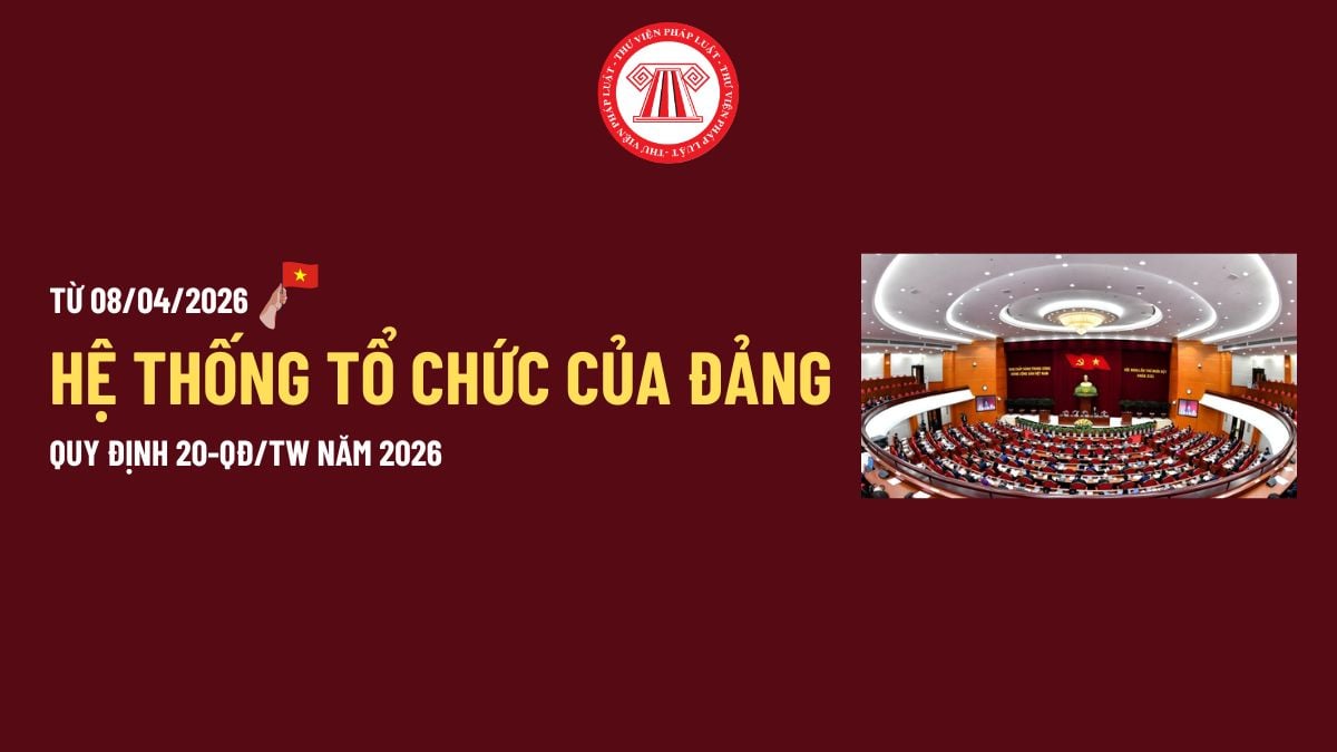 Pháp luật