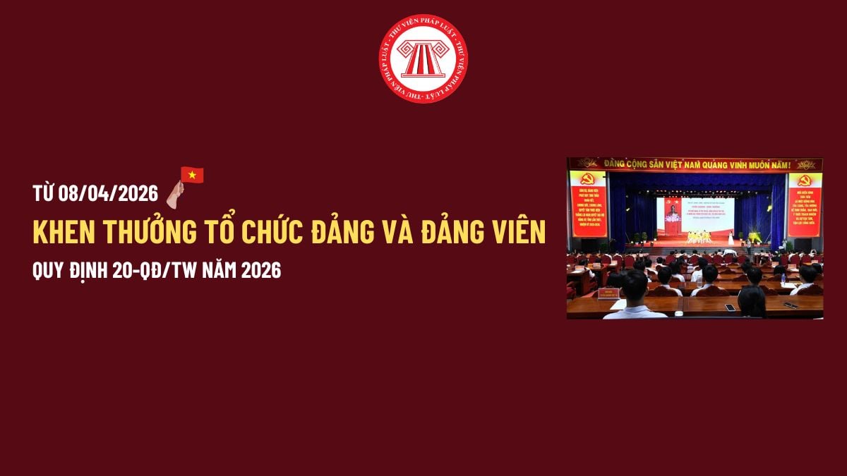 Pháp luật