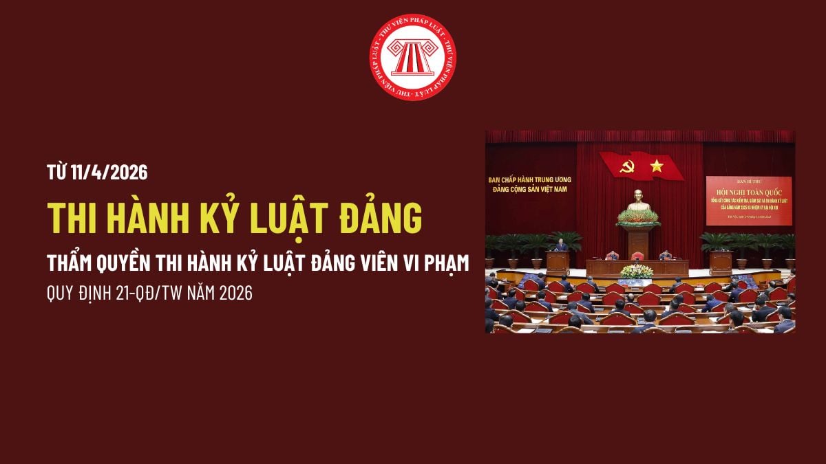 Pháp luật