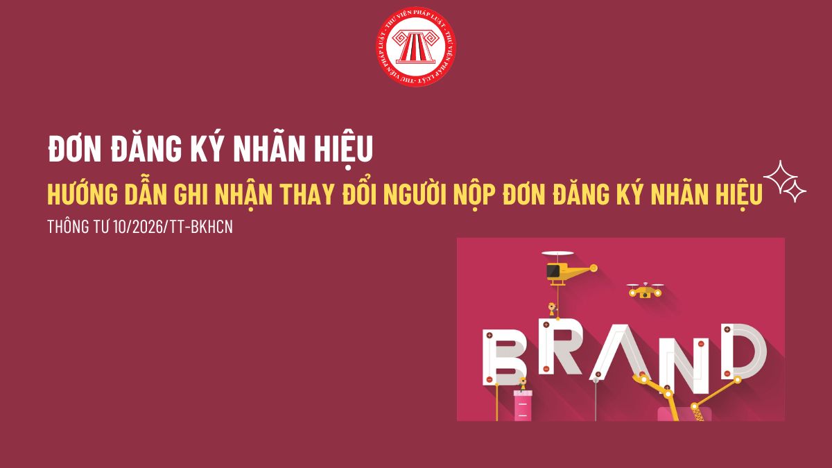 Pháp luật