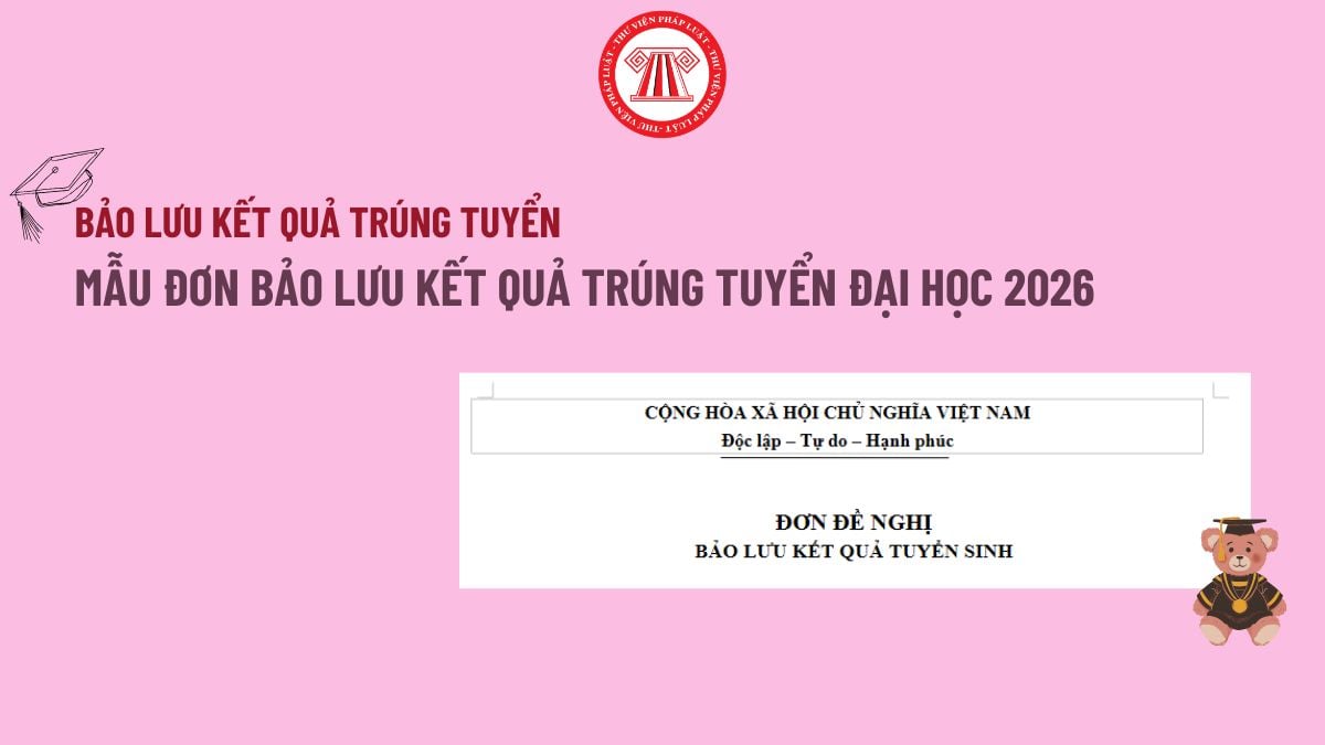 Pháp luật