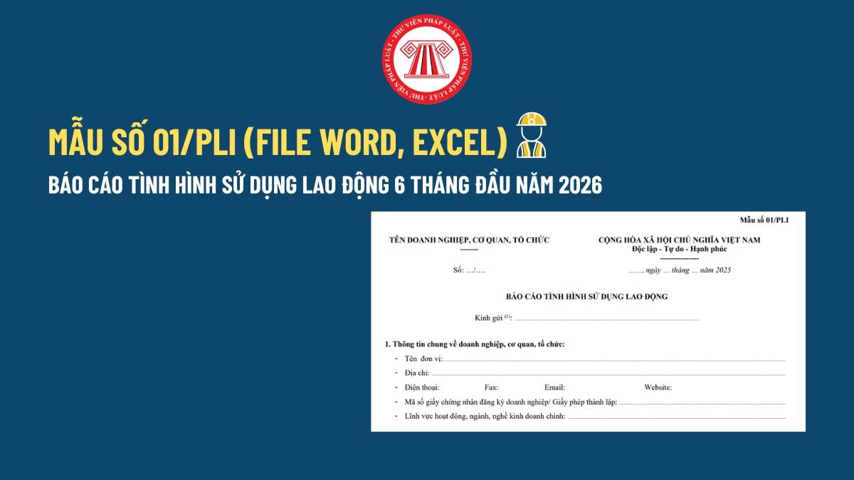 Pháp luật