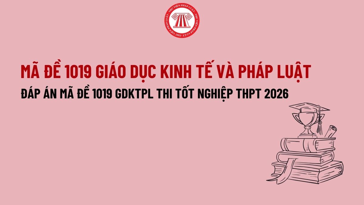 Pháp luật